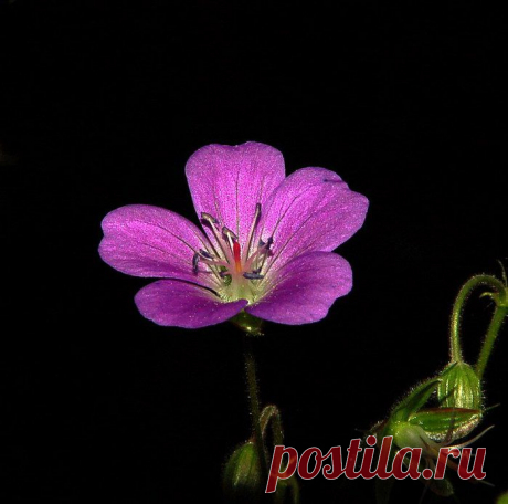 Мойдодыр от эмоциональной девчушки.