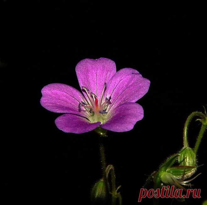 Мойдодыр от эмоциональной девчушки.