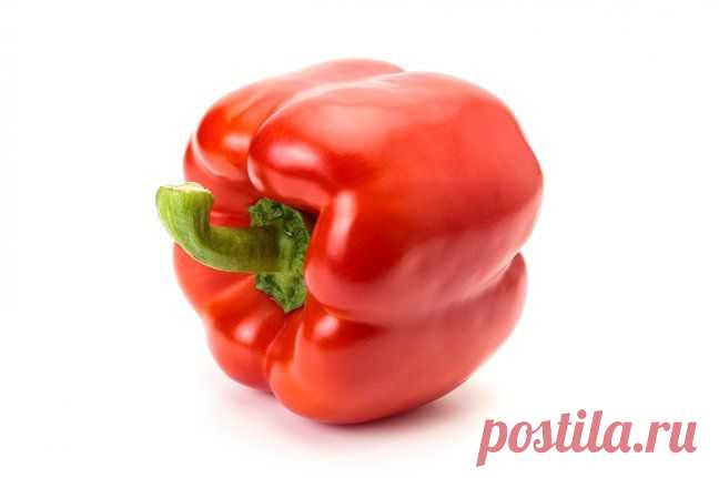Вкусные рецепты