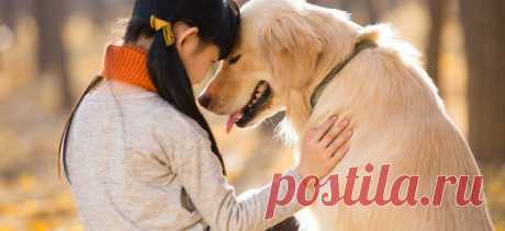 Могут ли собаки любить? | PetTips