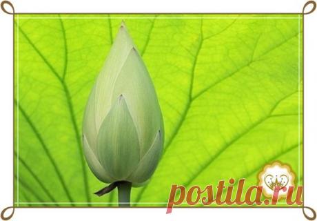 Май, 2014 | Ирина Царева