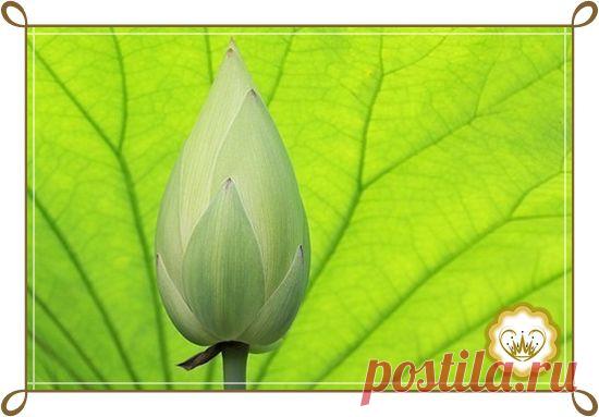 Май, 2014 | Ирина Царева