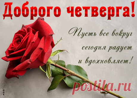 С четвергом прекрасным этим
Поздравляю! Пусть он светел
Будет очень и хорош,
На другие не похож.