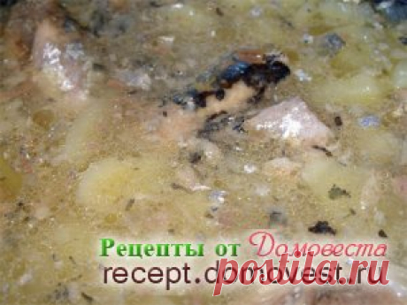 Уха из консервированной сайры » Рецепты от Домовеста