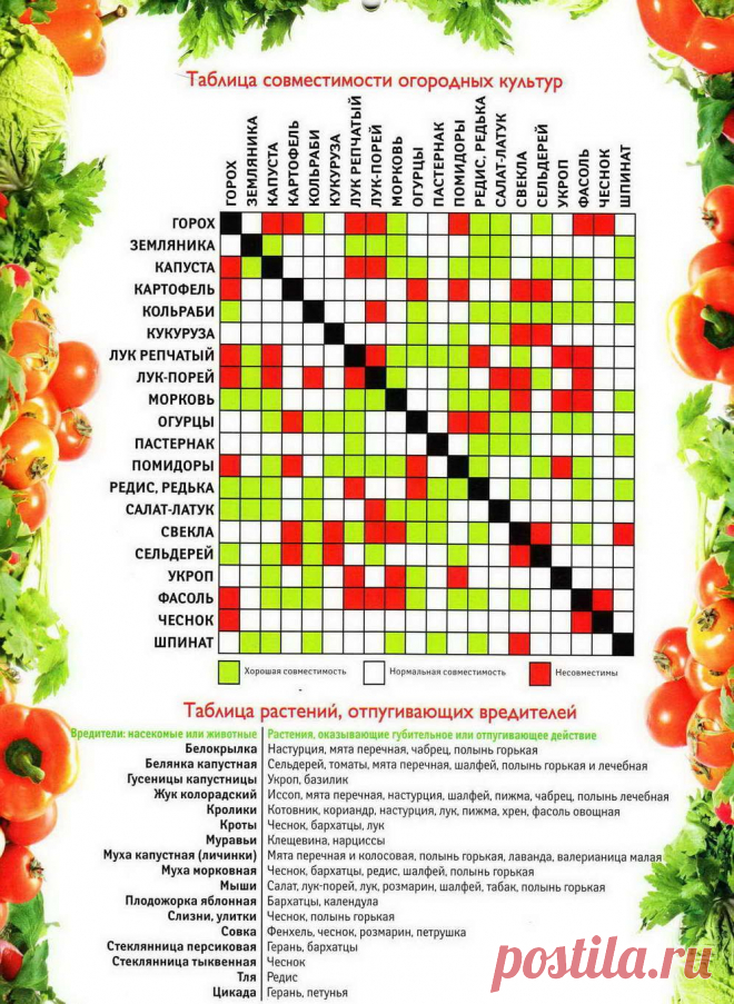 tablica.jpg (996×1362)