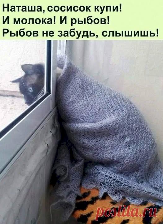 f32b4e6c.jpg (526×720)