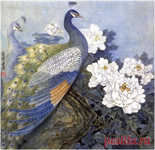 Павлины в китайской живописи
