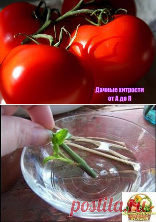 (45) Одноклассники