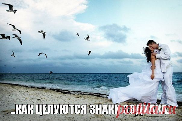 ИДЕАЛЬНАЯ