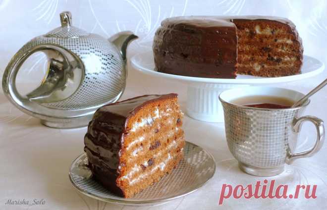 ШОКОЛАДНЫЙ МЕДОВИК С ЧЕРНОСЛИВОМ