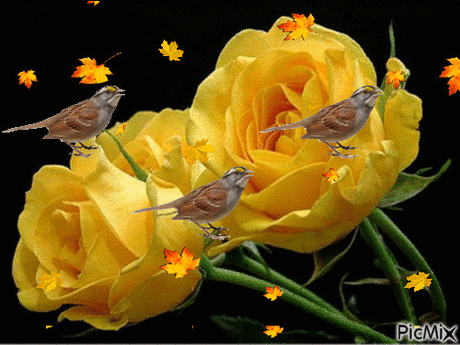 4388502_bb4be.gif (500×375)