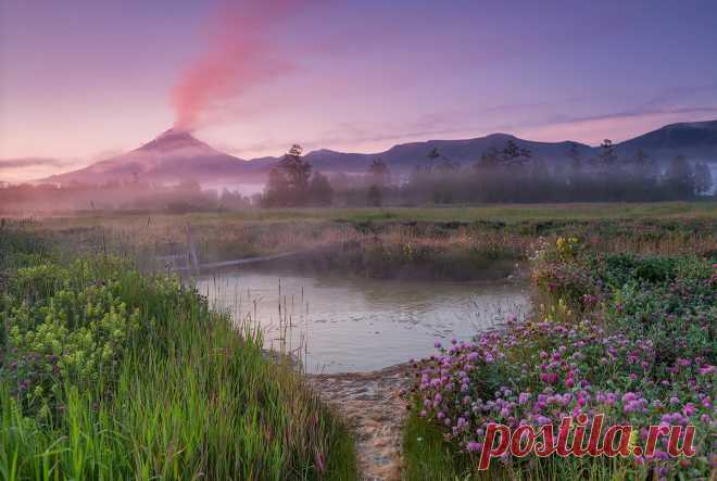 Удивительный мир