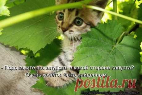 Фотографии / в Кругу Друзей - социальная сеть