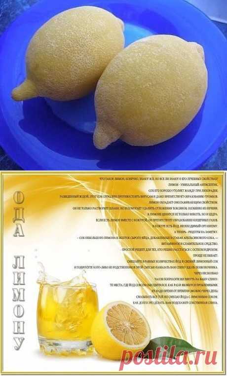 (28) Одноклассники