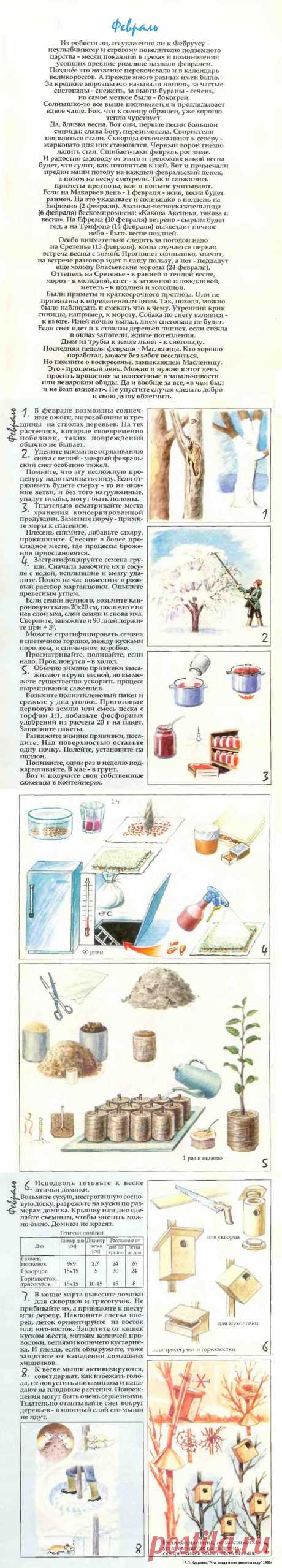Что делать в саду в феврале