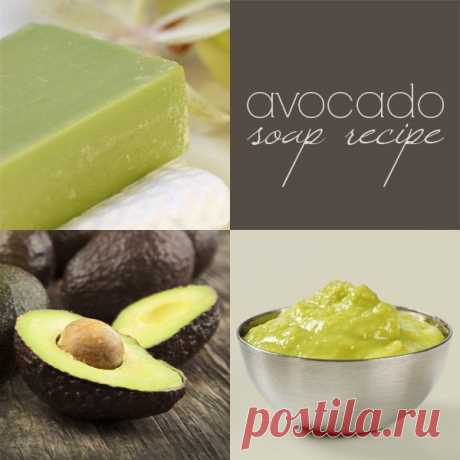 Avocado Soap Recipe