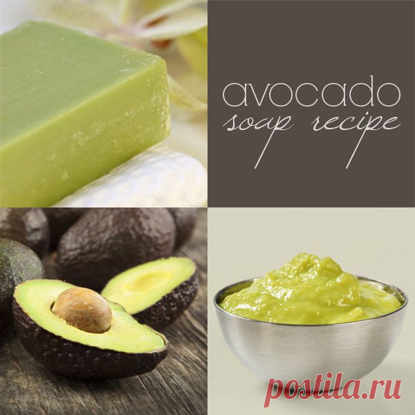 Avocado Soap Recipe