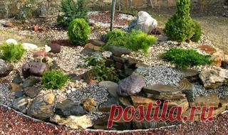 Анютины глазки: посадка и уход