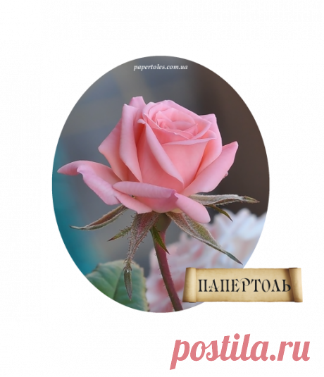 Папертоль "Роза Мини" — Купить в Днепре (Днепропетровске) на Bigl.ua (265569622)