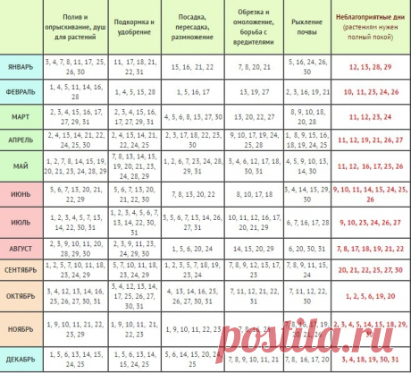Лунный календарь для комнатных цветов на 2017 год: благоприятные дни для посадки, полива и размножения растений