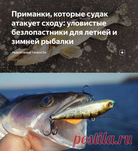 Приманки, которые судак атакует сходу: уловистые безлопастники для летней и зимней рыбалки | Рыболовные тонкости | Яндекс Дзен