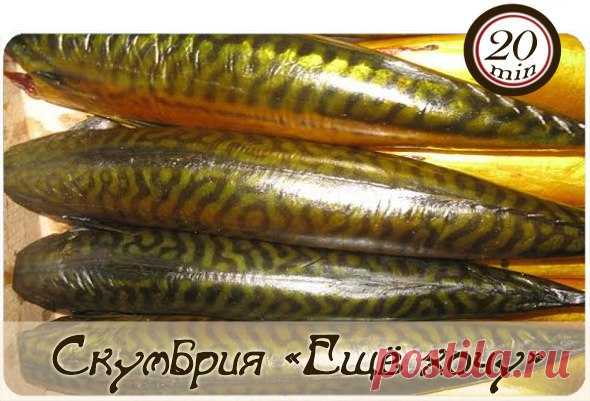 Мои закладки