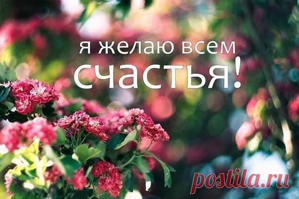 (91) Одноклассники
