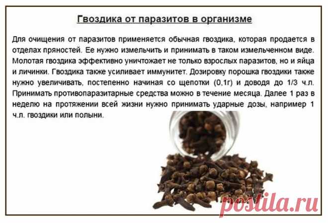 Гвоздика от паразитов в организме