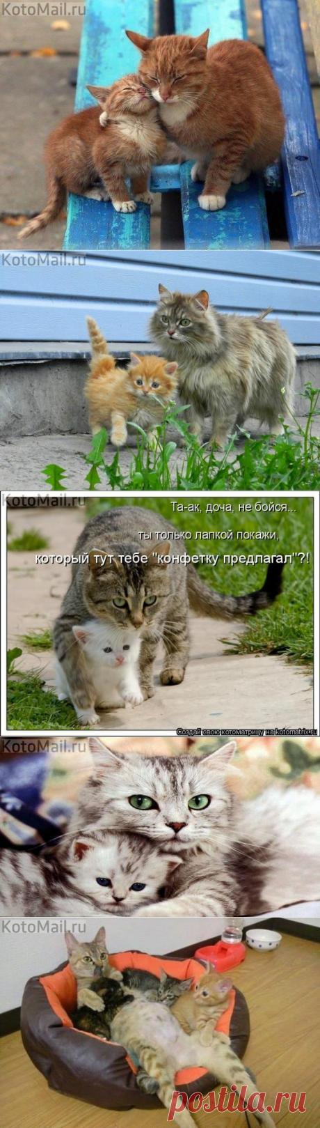 С любимым сыночком | KotoMail.ru