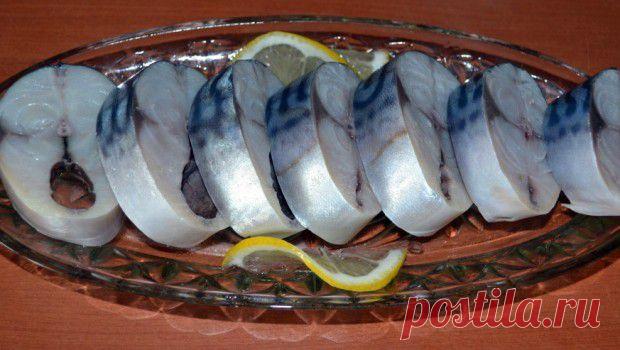 Как засолить скумбрию в рассоле | Правильно засолить дома