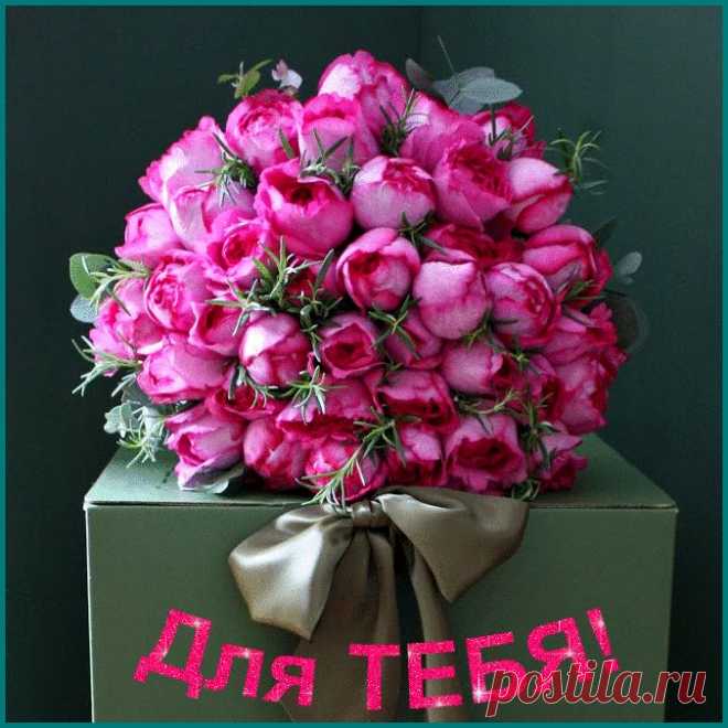 0_107a95_afcefdc_orig (676×676)