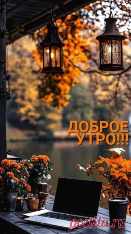 ДОМОХОЗЯЙКА. Смотрите видео онлайн, бесплатно