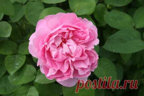 s-17949.JPG (3504×2336)