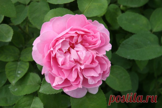 s-17949.JPG (3504×2336)