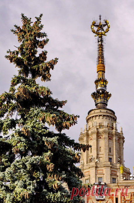 Гармония