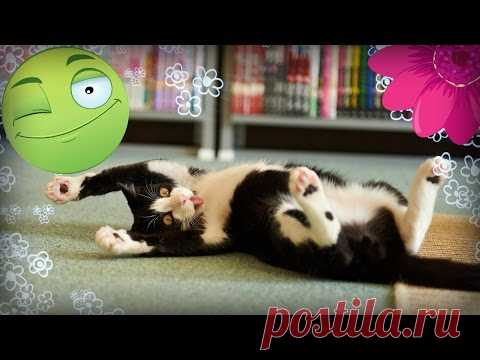 Екатерина Кустова - Сообщения / в Кругу Друзей - социальная сеть