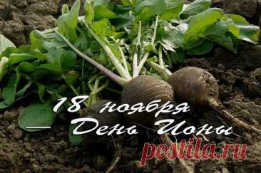 День Ионы учит прислушиваться к себе и окружающим. Народные приметы гласят: тихая погода — к мирной зиме, а буря — к переменам. Пусть сегодня все ваши действия будут правильными, мысли — ясными, а дела — успешными. Открытки на День Ионы.