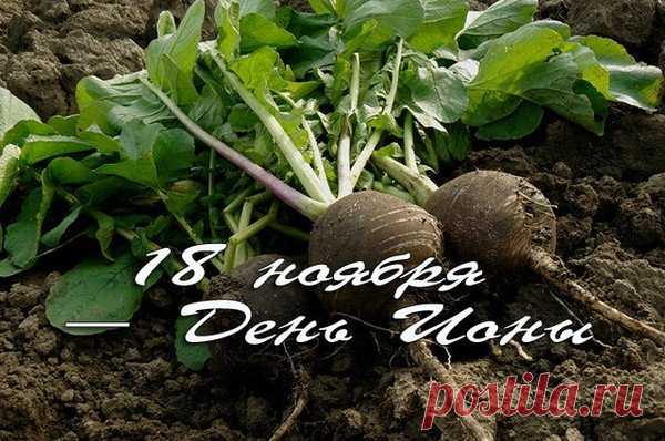 День Ионы учит прислушиваться к себе и окружающим. Народные приметы гласят: тихая погода — к мирной зиме, а буря — к переменам. Пусть сегодня все ваши действия будут правильными, мысли — ясными, а дела — успешными. Открытки на День Ионы.