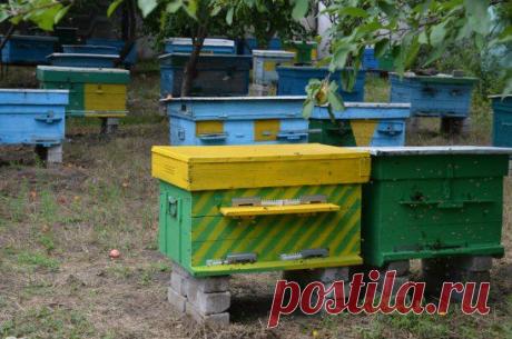 Одноклассники