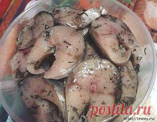 Без заголовка