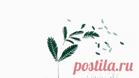 «Если память надежна, а разум ясен, то неглупый старый человек обладает необычайной широтой и глубиной понимания», — говорит Урсула Ле Гуин. И ее книга «Время, занятое жизнью» прекрасно иллюстрирует эту максиму. Это подборка эссе — и вместе с тем не совсем эссе. Это записи из блога, который писательница вела в последние годы жизни, размышления о самом важном — остроумные, ироничные и вместе с тем лирические и глубокие. На этой неделе наши читатели голосовали за главу из книги. Победила глава…