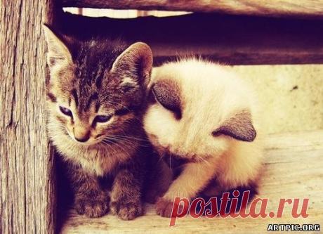фото дня природа - Поиск в Google