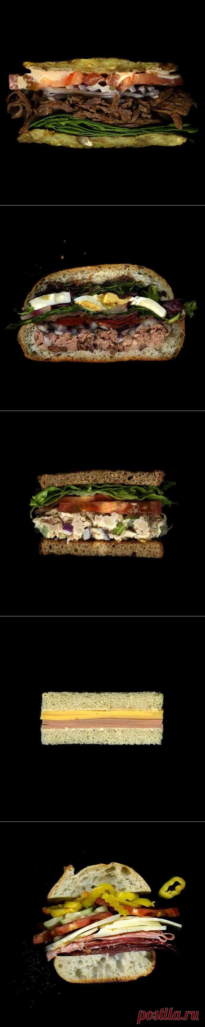 Анатомия сэндвичей