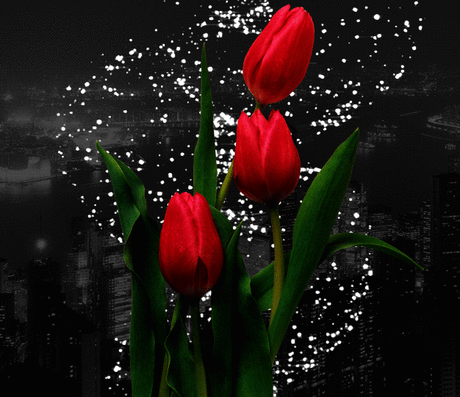 V4.gif (626×540)
