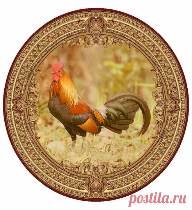 Новости