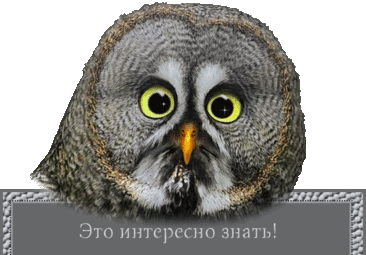 ✿ღ✿18 слов русского языка, которые когда-то были фамилиями✿ღ✿