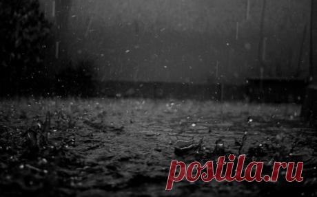 Я тебя люблю. Я очень-очень-очень тебя люблю. Я люблю твои стихи, особенно несколько последних, посвященных мне. Я их читаю и перечитываю, ну мне, конечно, же мне. Это мои глаза ты видишь во сне и моих губ хочешь коснуться, это ко мне ты бредешь сквозь пустыни и скалы, сквозь снег в лицо и ледяную воду. Мой, только мой. Тебе от меня ничего не нужно, только знать, что я есть, что я жду твоих писем, читаю твои стихи и пишу на них трепетные от всего сердца отзывы...