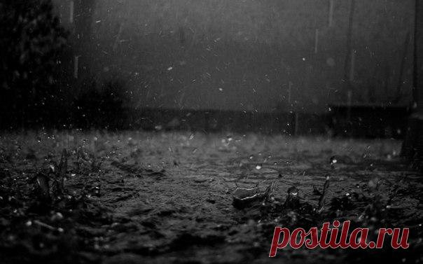 Я тебя люблю. Я очень-очень-очень тебя люблю. Я люблю твои стихи, особенно несколько последних, посвященных мне. Я их читаю и перечитываю, ну мне, конечно, же мне. Это мои глаза ты видишь во сне и моих губ хочешь коснуться, это ко мне ты бредешь сквозь пустыни и скалы, сквозь снег в лицо и ледяную воду. Мой, только мой. Тебе от меня ничего не нужно, только знать, что я есть, что я жду твоих писем, читаю твои стихи и пишу на них трепетные от всего сердца отзывы...