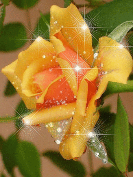 Google+