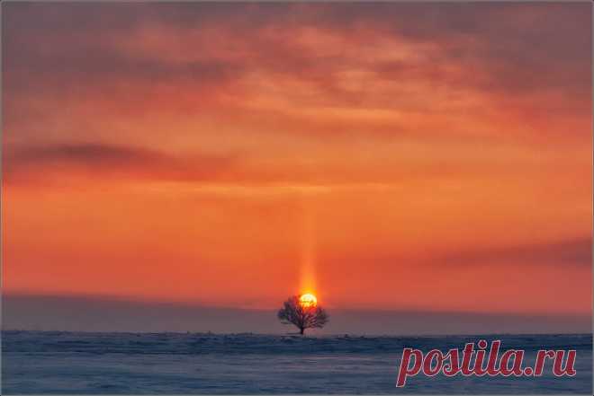 Наталья Шаповалова